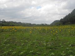 -贵阳市花溪国家城市湿地公园