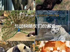 -动物园(地铁站)