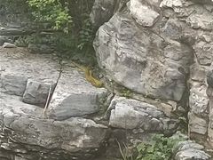 -孤山寨风景区