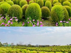 -花开海上生态园