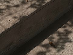 -悦哉·派对·草坪婚礼·围炉煮茶(三圣乡店)