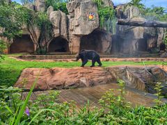 -海南热带野生动植物园