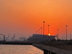 -东疆建设开发纪念公园