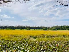 -嘉北郊野公园