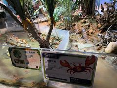 -正佳雨林生态植物园