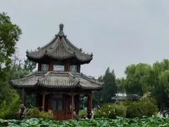 -莲池书院博物馆