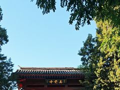-北京石刻艺术博物馆(五塔寺)
