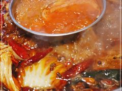 -一斗火锅·招财羊毛肚(北温泉九号店)