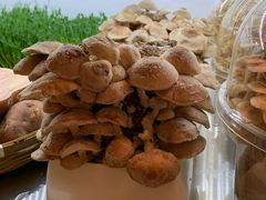 -鲜货俚鲜火锅(青果路店)