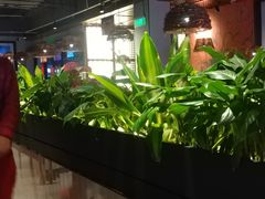 大堂-管氏翅吧(台湾街店)