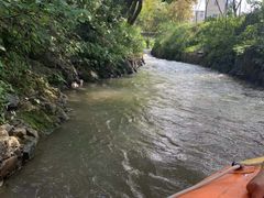 -天目湖松岭竹海漂流