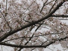 -白塘生态植物园