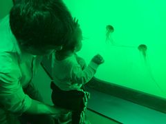 -沈阳海洋探索中心