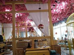 -椰贝原味椰子鸡(高新万达店)