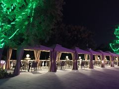 -青岛海景花园大酒店·白果树餐厅青岛菜