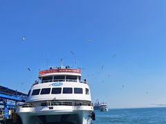 -海驴岛(荣成市)