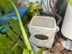 -哈根达斯(大洋百货店)