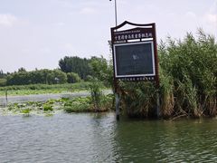 -白洋淀景区
