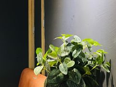 -新仙清汤牛腩(铜锣湾店)