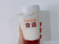 -Tim炒酸奶