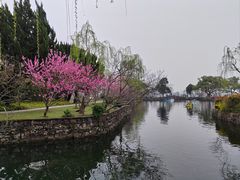-无锡蠡湖国家湿地公园-蠡园