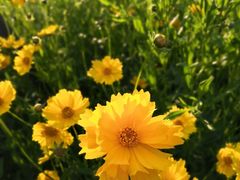 -白塘生态植物园