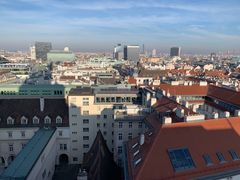-斯蒂芬主教座堂(Stephansdom)