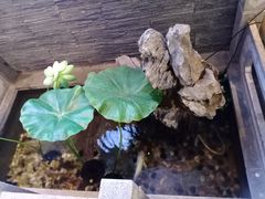 -知足堂养生会所(碑亭巷店)