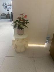 点击看大图 -Dr.林醫生产后修复·超级店(南京江宁同曦店)