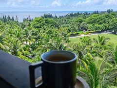 -海南清水湾莱佛士酒店