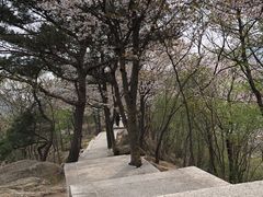 -崂山巨峰游览区