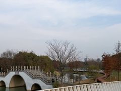 -尚贤河湿地