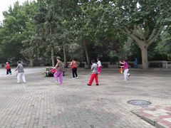 -黄村公园