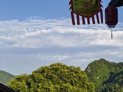 -后柳水乡