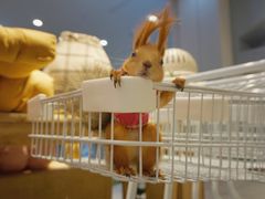 -狗道宠物(常熟印象城店)