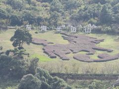 -东海半边山旅游度假区
