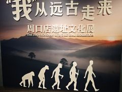 -四川大学博物馆