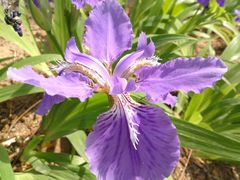 -济南国际园博园