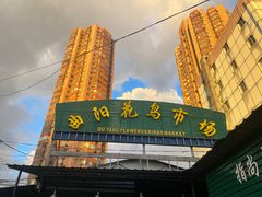 -曲阳花鸟市场(曲阳路店)