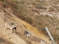 -鄂尔多斯野生动物园