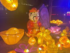 -南宫五洲植物乐园