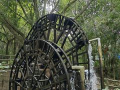 -大屏嶂森林公园