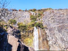 -上海辰山植物园