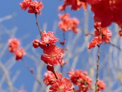 -滨湖塘西河公园