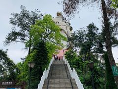 -大金鹰园