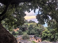 -杨家堂村