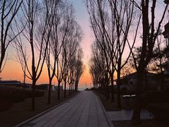-海风酒吧 喝精酿 听民谣(阿那亚礼堂店)
