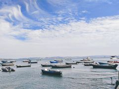 -海源公园