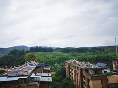 -阳光高尔夫俱乐部