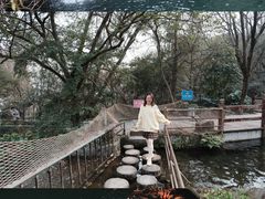 -千岛湖东南湖区